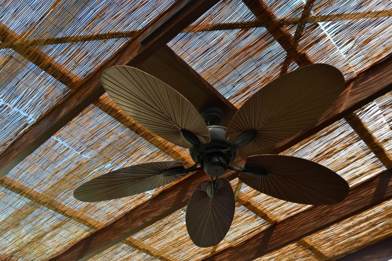 Ceiling Fan Replacement in Conroe, TX