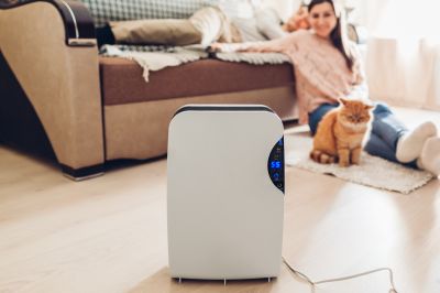 Humidifer Repair in Sarasota, FL